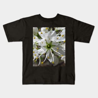 wonderful white blossom, flowers, nature Kids T-Shirt